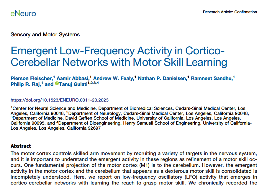 Schermata della pubblicazione originale: Fleischer et al. 2023, eNeuro, studio sulla sincronizzazione cortico-cerebellare nell'apprendimento motorio